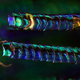 Illustration for article titled Amazing Photographs Capture the Microscopic Iridescence of Peacock Feathers